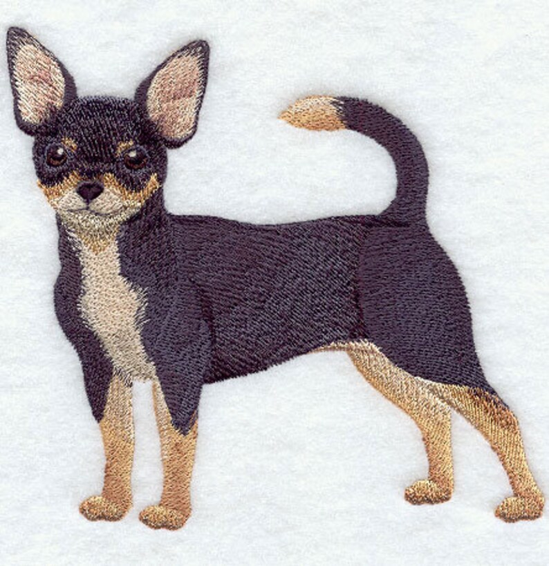 Chihuahua Embroidered Towels-