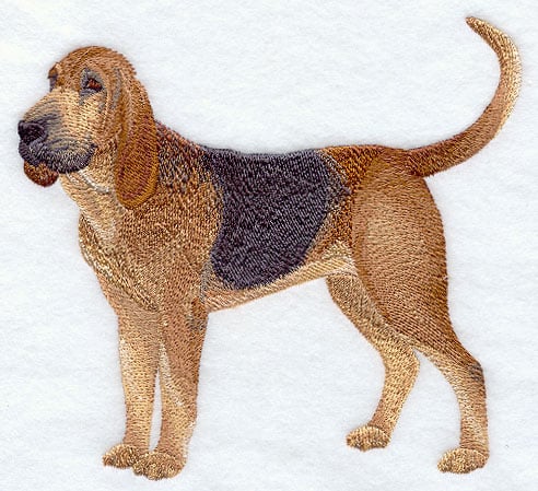 Bloodhound Embroidered Towels-