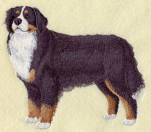 Bernese Mountain Dog Embroidered Towels-
